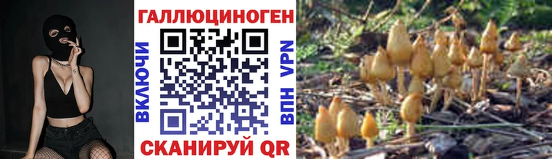 Галлюциногенные грибы Cubensis  как найти наркотики  Алзамай 